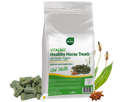 Vitalbix Healthy Treats Anijs 1kg