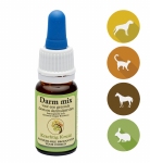 Krachtig Kruid Darm mix 10ml