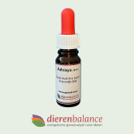 Ashraya Libido (mannelijk) 10ml