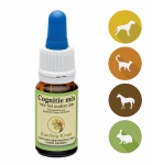 Krachtig Kruid Cognitie mix 10ml