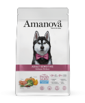 Amanova hond Sensitive - Salmon Deluxe 10kg