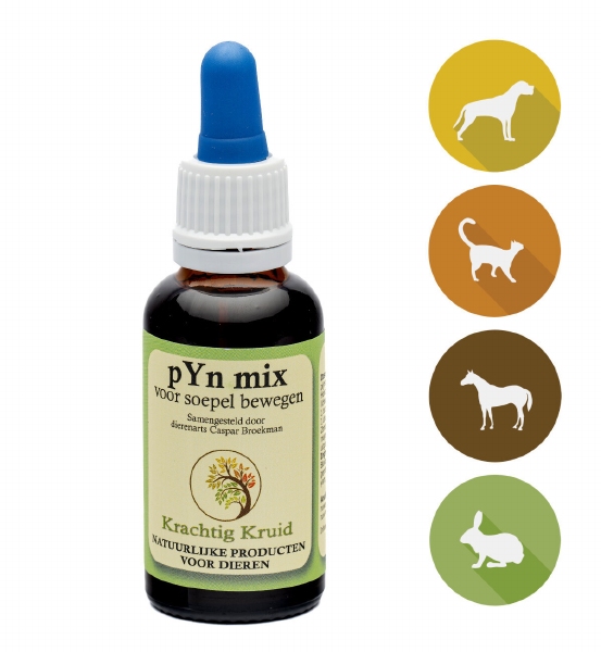 Apotheek en Supplementen